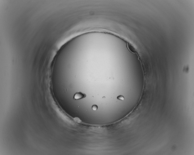 X0000090921526200708201753