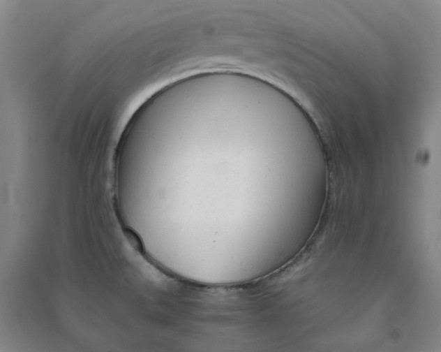 X0000090921527200708201753