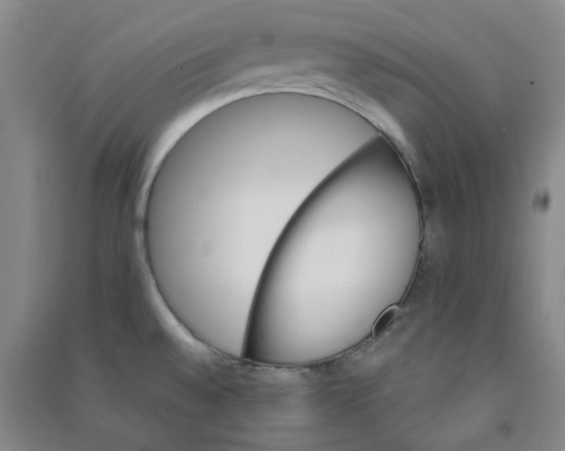 X0000090921528200708201753