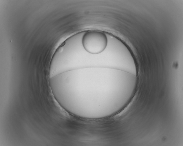 X0000090921529200708201753