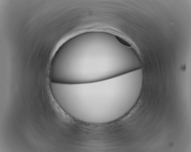 X0000090921530200708201753