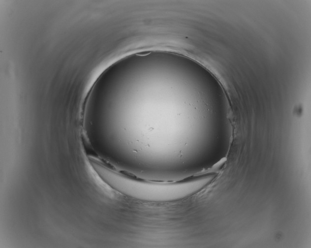 X0000090921532200708201753