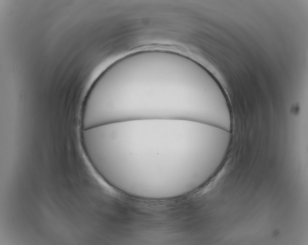 X0000090921533200708201753