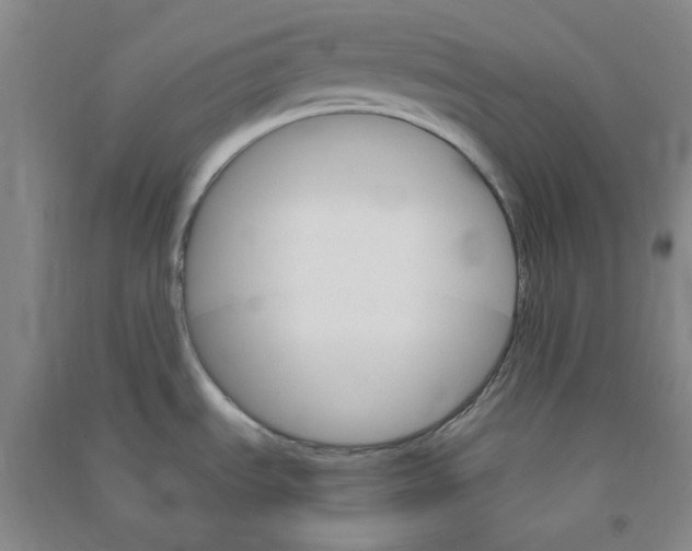 X0000090921535200708201754