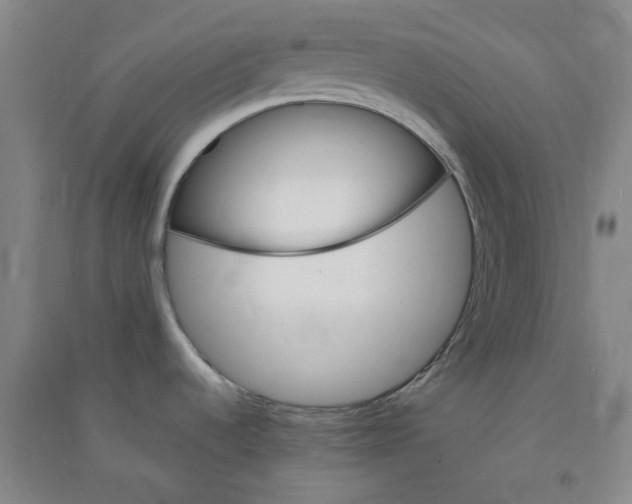 X0000090921536200708201754