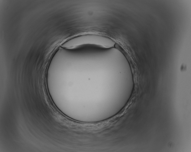 X0000090920001200708271034