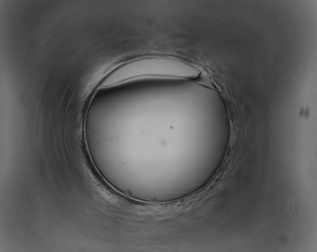 X0000090920005200708271033