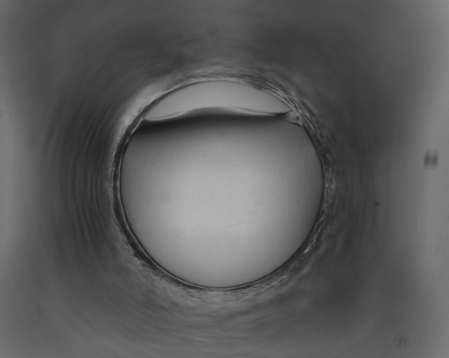 X0000090920006200708271033