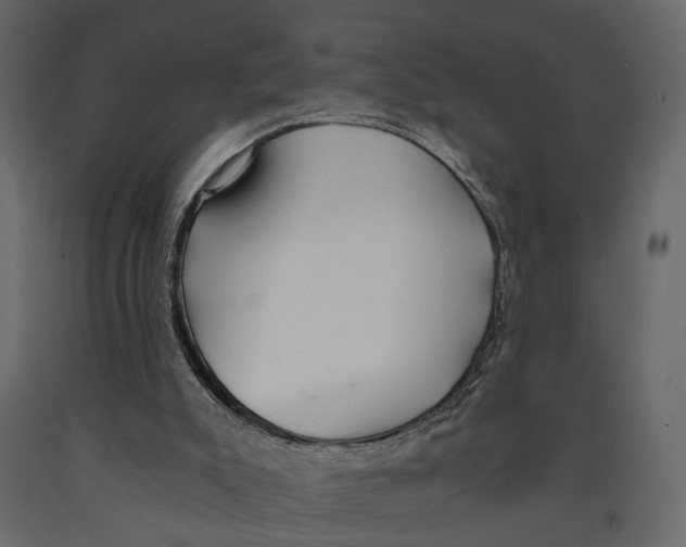 X0000090920007200708271033