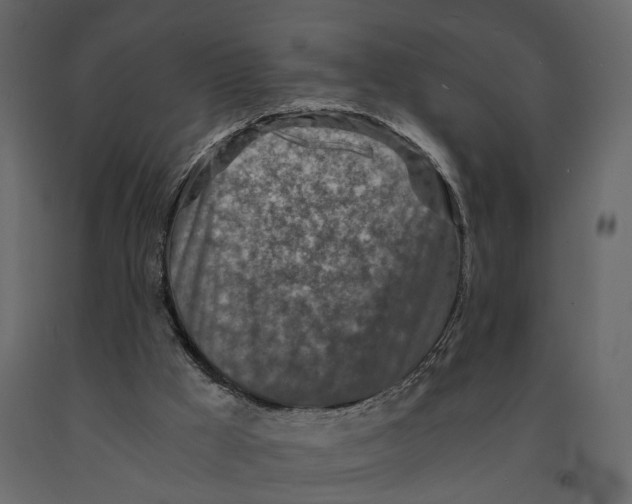 X0000090920009200708271033