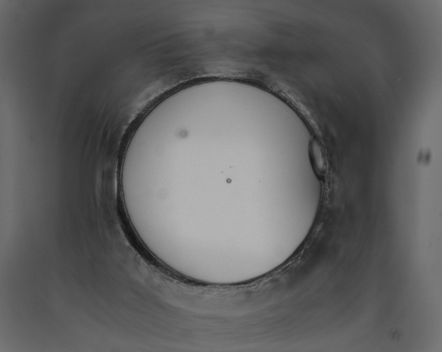 X0000090920011200708271033