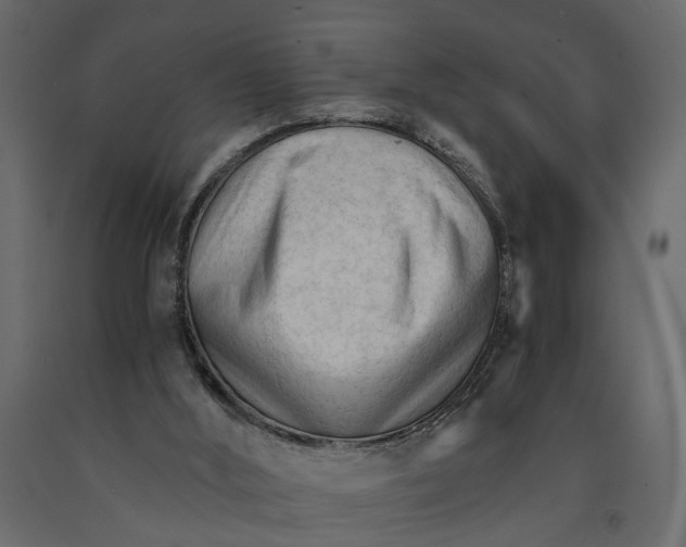 X0000090920012200708271033