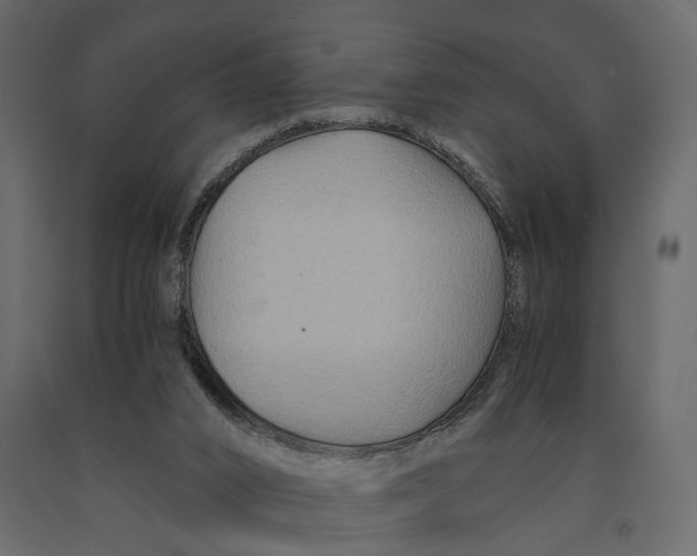 X0000090920016200708271033