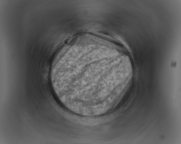 X0000090920018200708271033