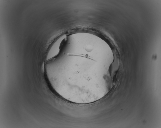 X0000090920019200708271033