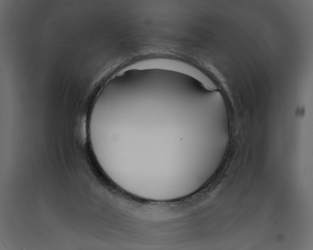 X0000090920020200708271033