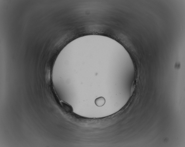 X0000090920021200708271033