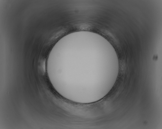 X0000090920028200708271033