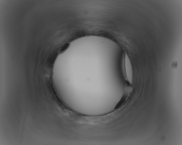 X0000090920033200708271033