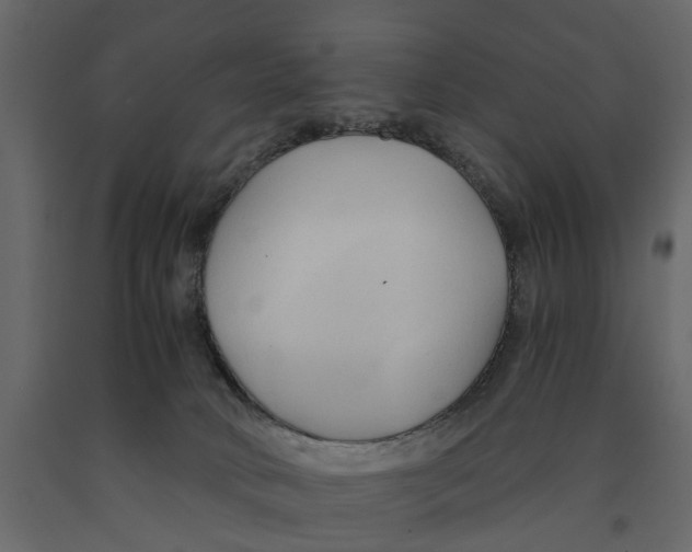 X0000090920034200708271033