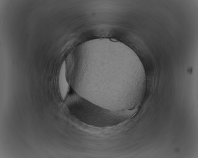 X0000090920035200708271033