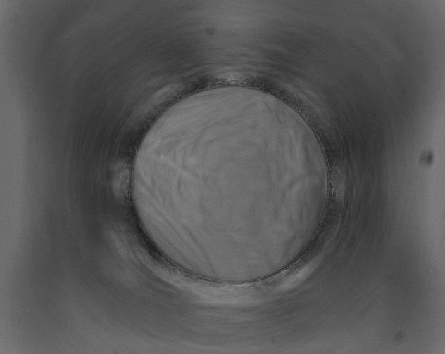 X0000090920036200708271033