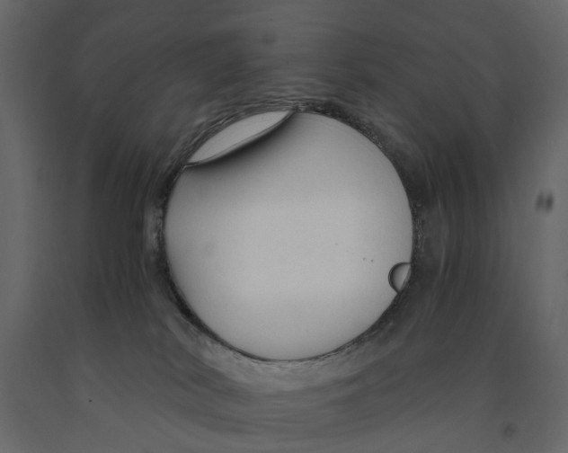 X0000090920038200708271033