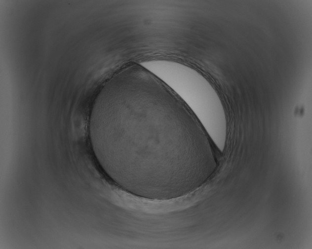 X0000090920039200708271033