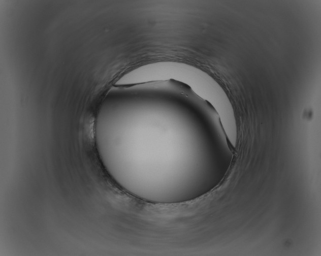 X0000090920041200708271033