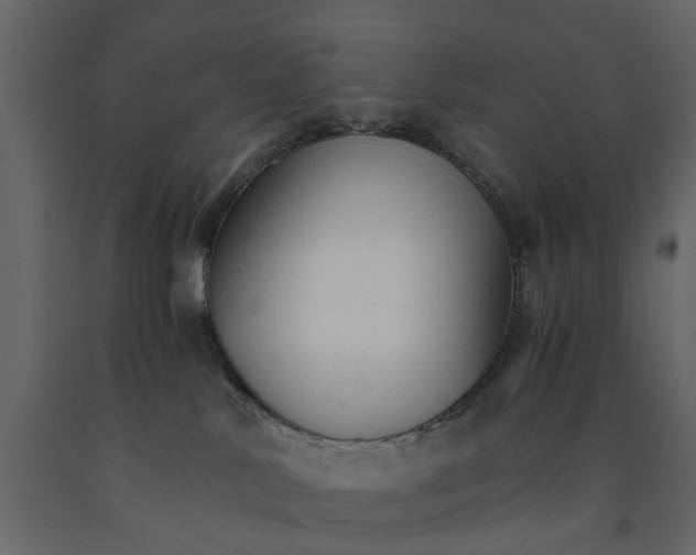 X0000090920042200708271033