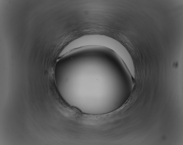 X0000090920045200708271033