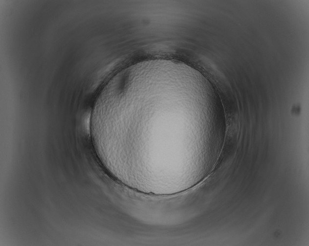 X0000090920047200708271033