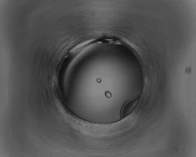 X0000090920048200708271033