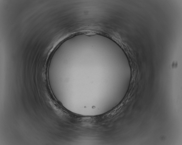 X0000090920050200708271032