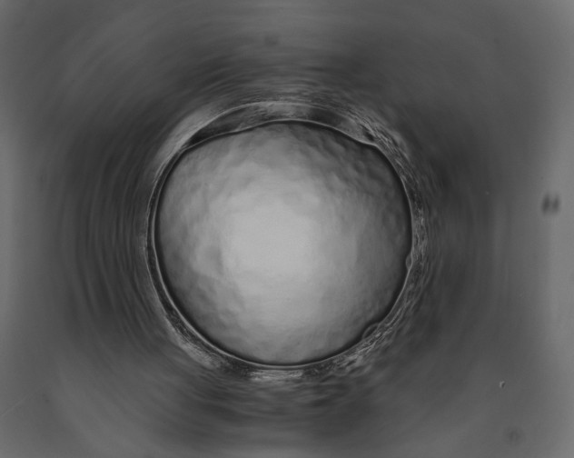 X0000090920051200708271032