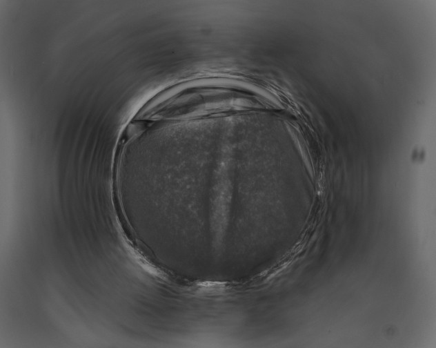 X0000090920052200708271032