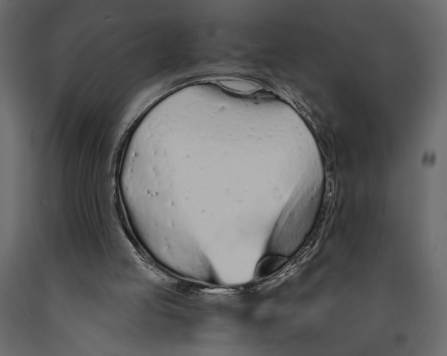 X0000090920053200708271032