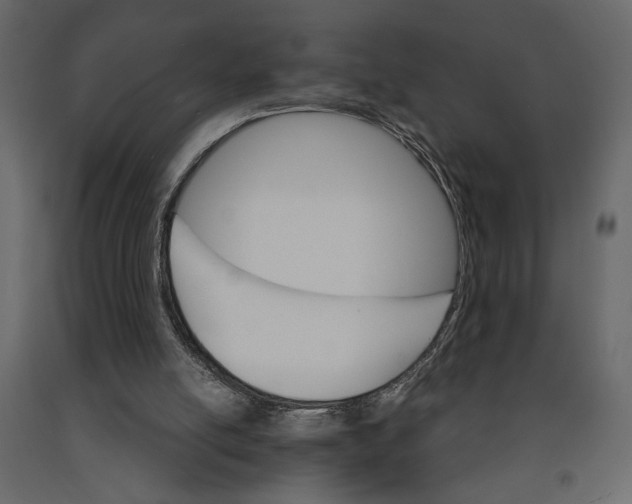 X0000090920054200708271032