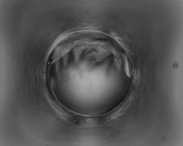 X0000090920056200708271032