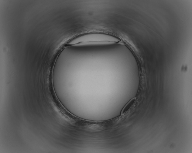 X0000090920058200708271032