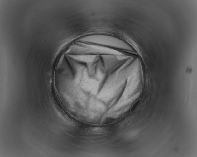 X0000090920059200708271032