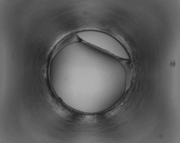 X0000090920060200708271032