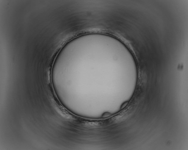 X0000090920061200708271032