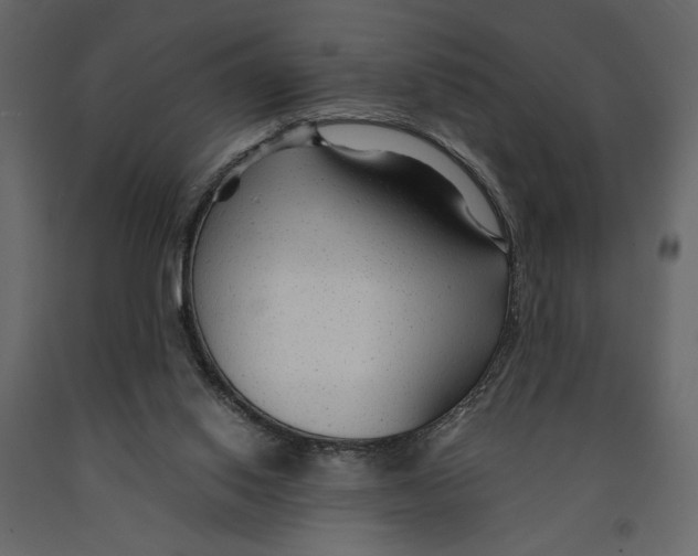 X0000090920062200708271032