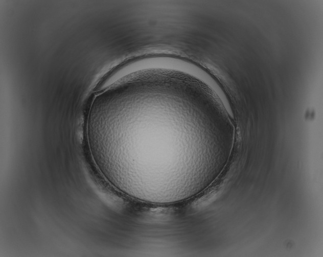 X0000090920064200708271032