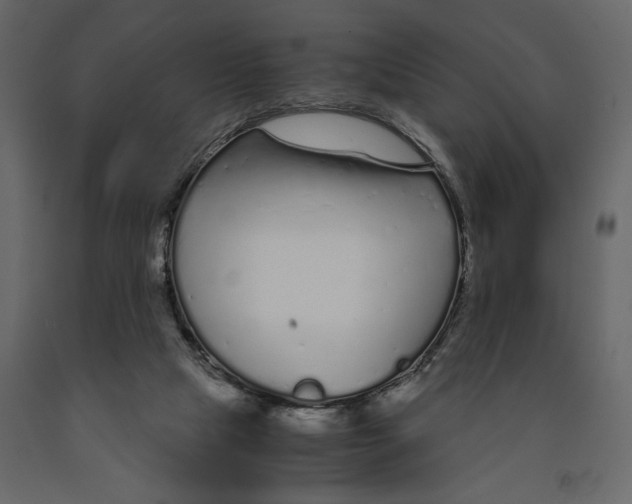 X0000090920065200708271032