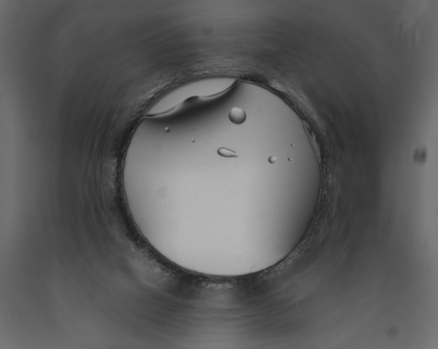 X0000090920066200708271033