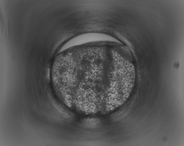 X0000090920067200708271033