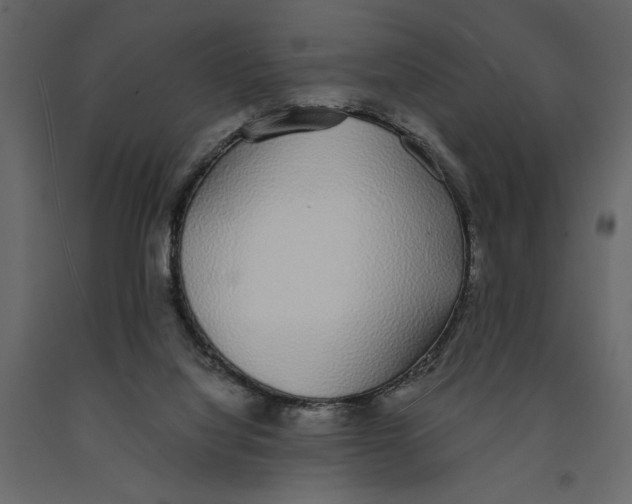 X0000090920068200708271033