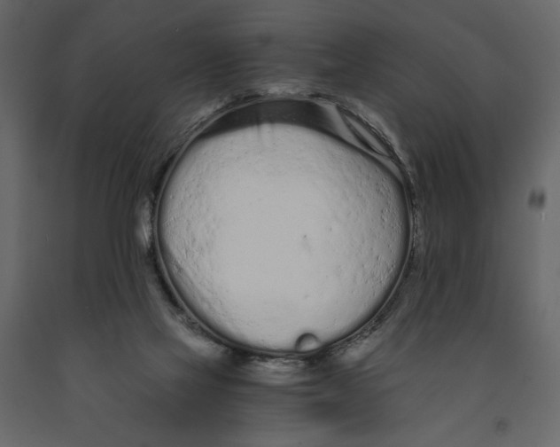 X0000090920069200708271033